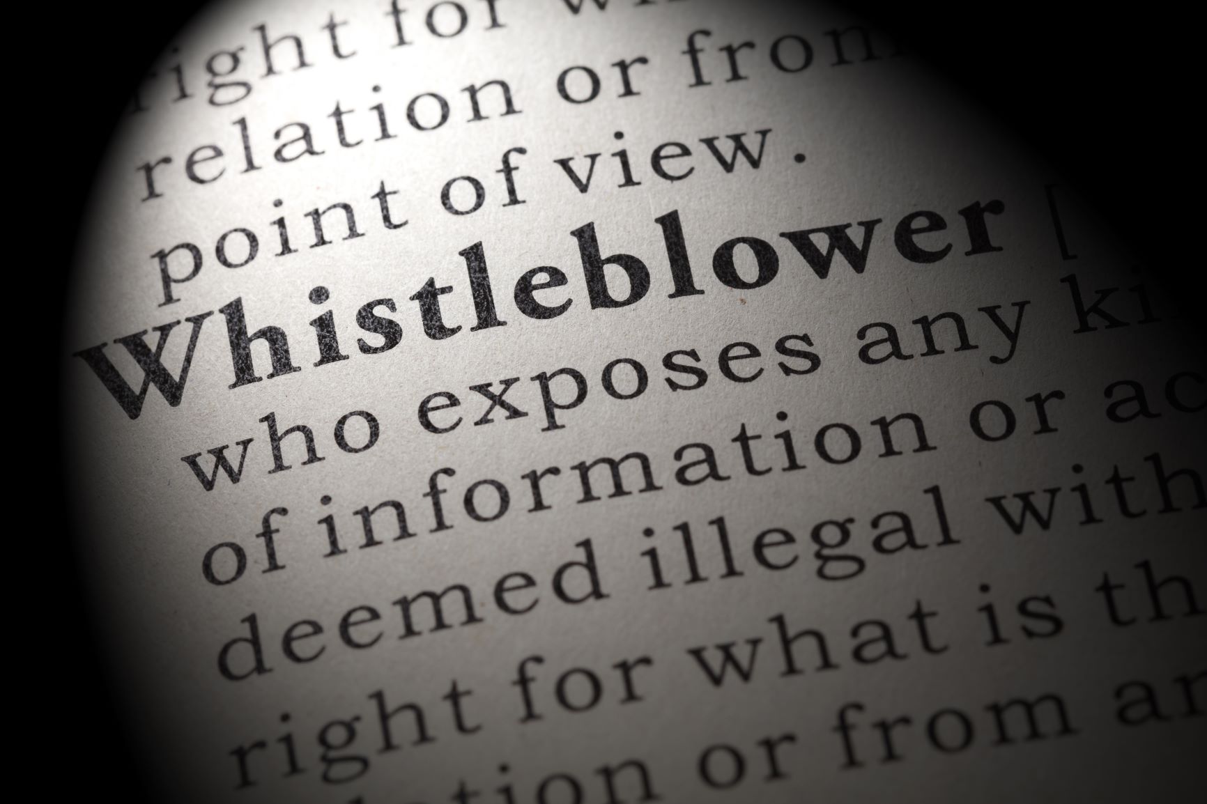 Whistleblower Dictionary Definition